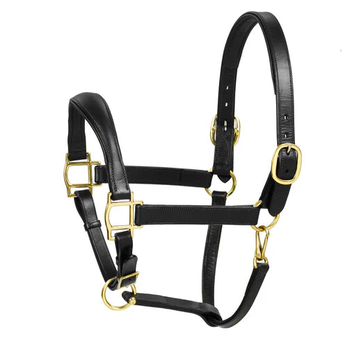 Aramas™ Raised ZERO Shape Padded Halter