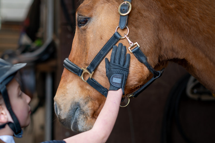 Isabella Riding Gloves