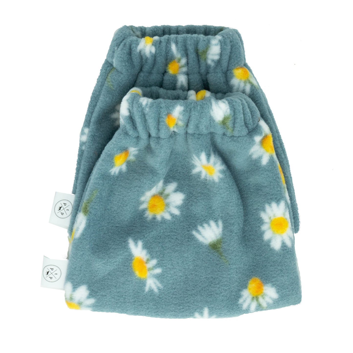 Blue Daisy (SC)