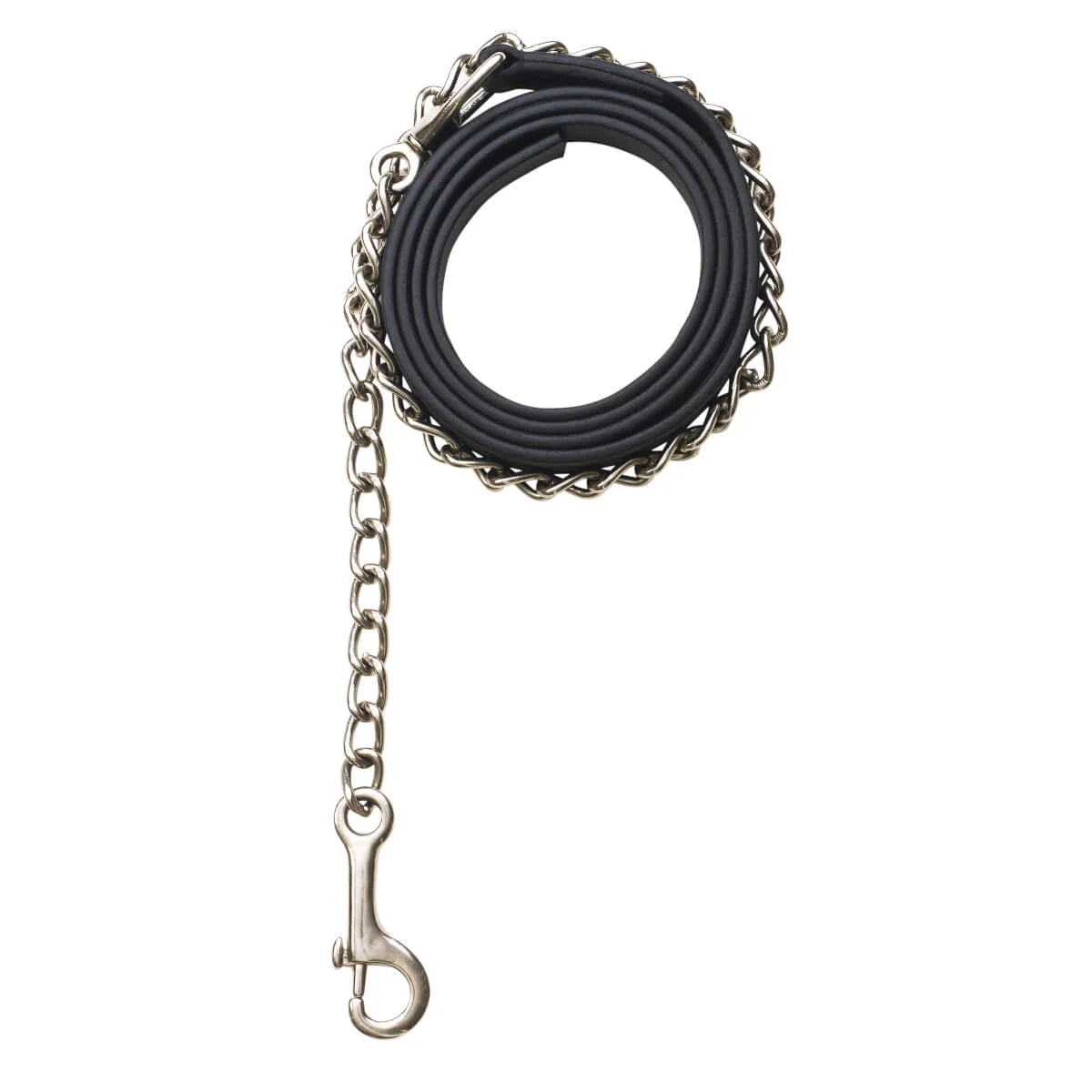 Richtan Lead w/Chain