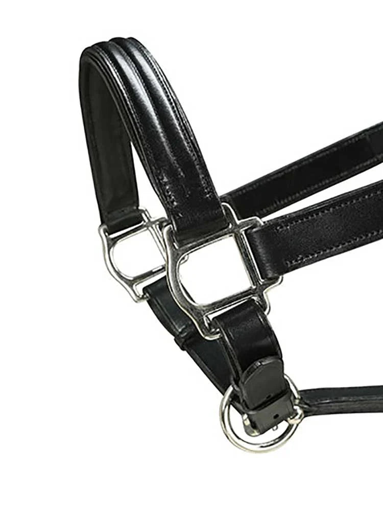 Marco Simone Triple-Stitched Italian Leather Halter