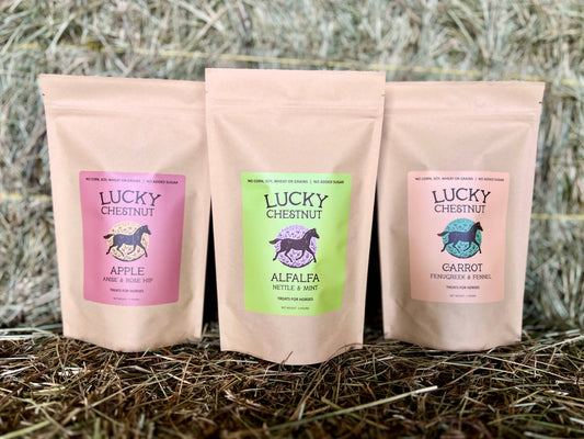 Retail Horse Treat Starter 6 Pack - 2 bags of each flavor