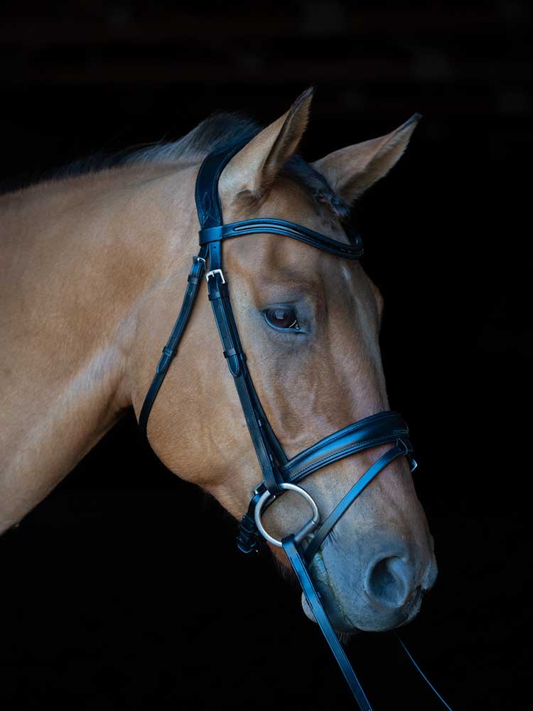 Berlin Dressage Bridle