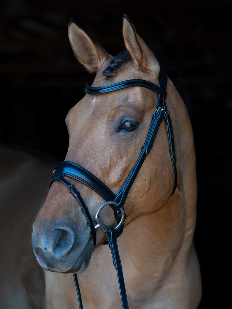 Berlin Dressage Bridle