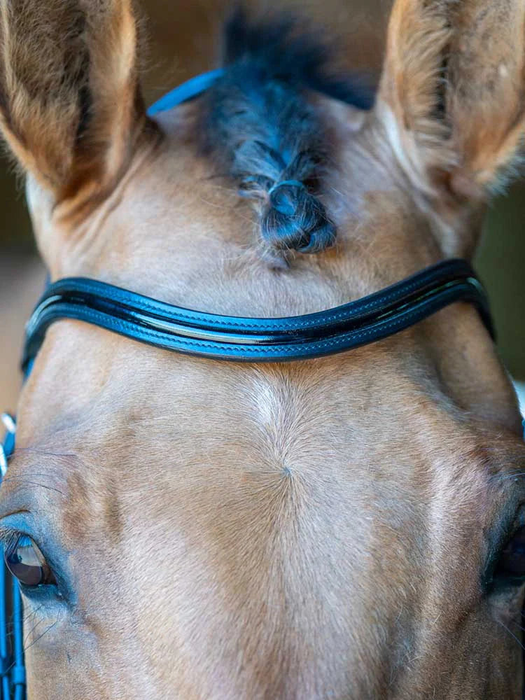 Berlin Dressage Bridle