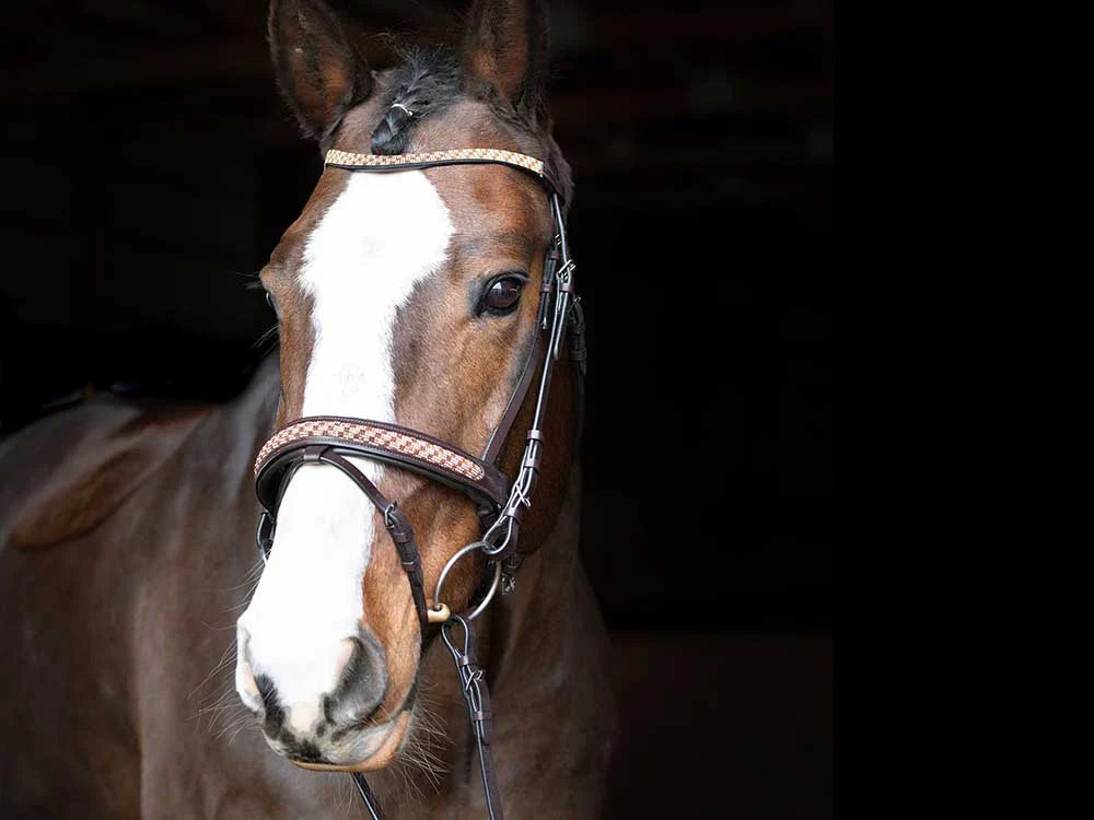 Bonn Beaded Dressage Bridle