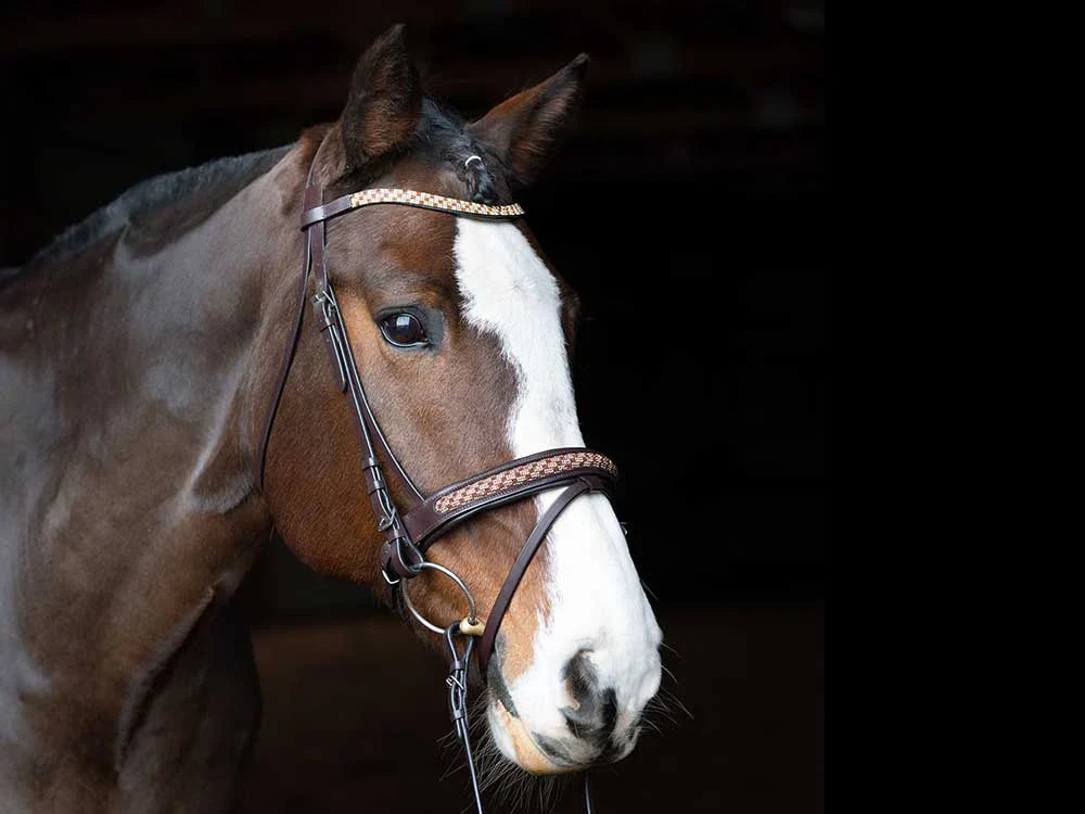 Bonn Beaded Dressage Bridle