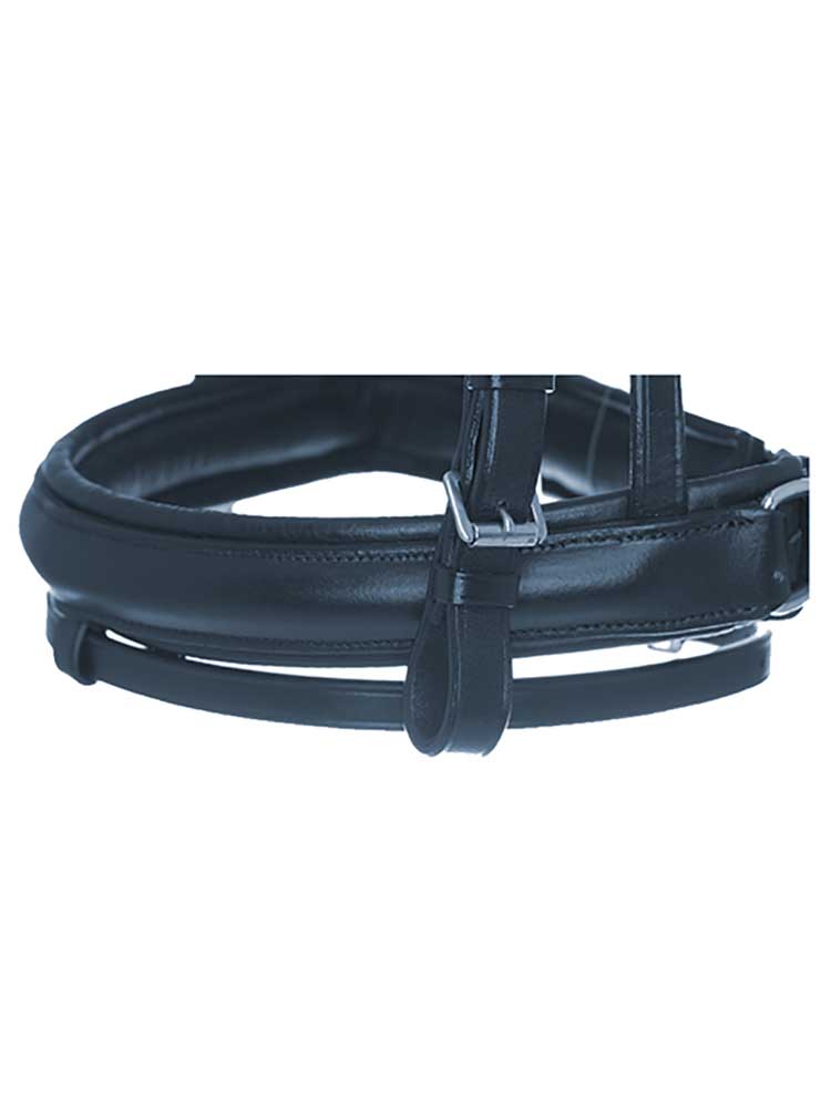 Southport Dressage Bridle