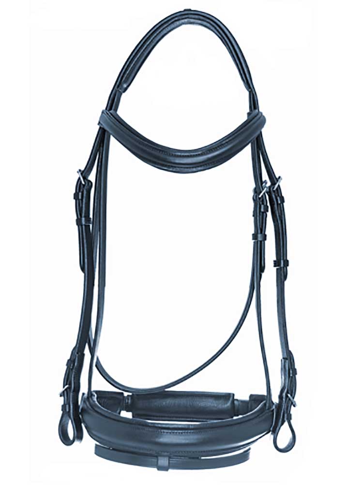 Southport Dressage Bridle