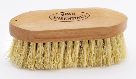 Wood Back Dandy Brush with Tampico Bristles