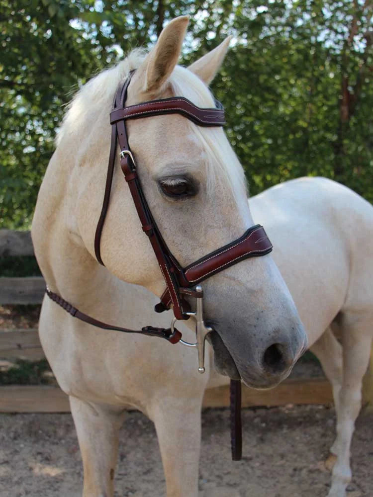 Santorini Snaffle Bridle