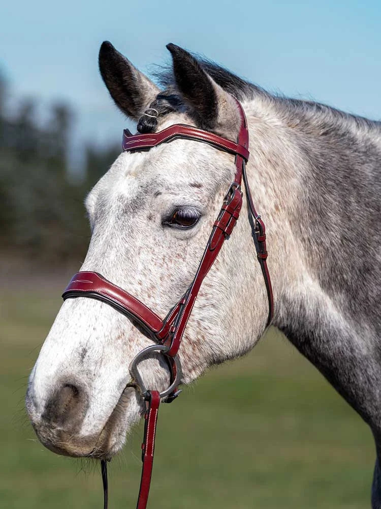 Santorini Snaffle Bridle