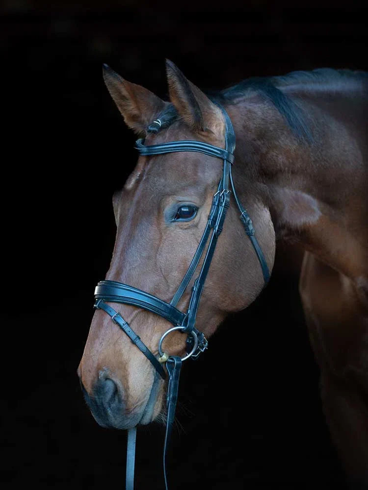 Southport Dressage Bridle