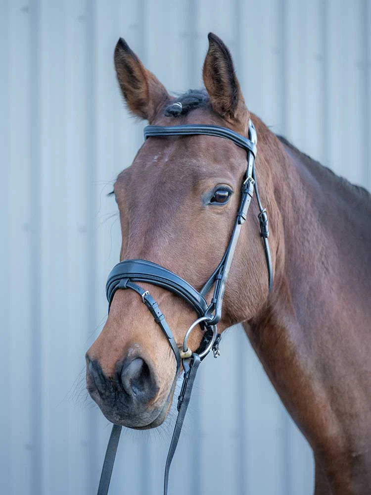 Southport Dressage Bridle