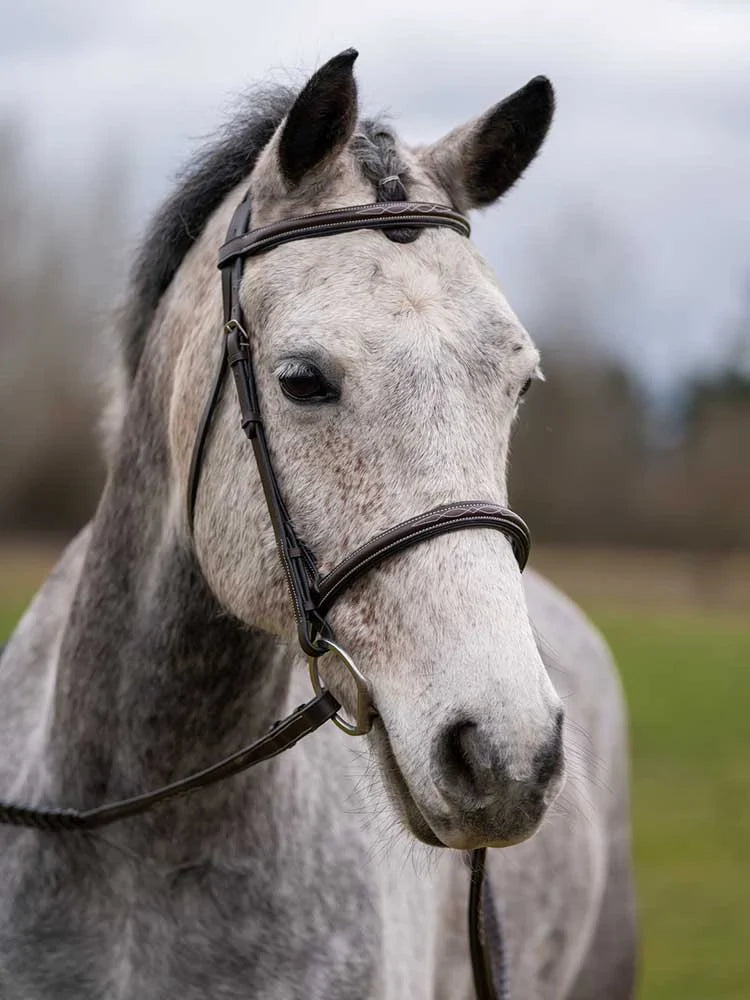 Thornberry Round Raised Hunter Bridle