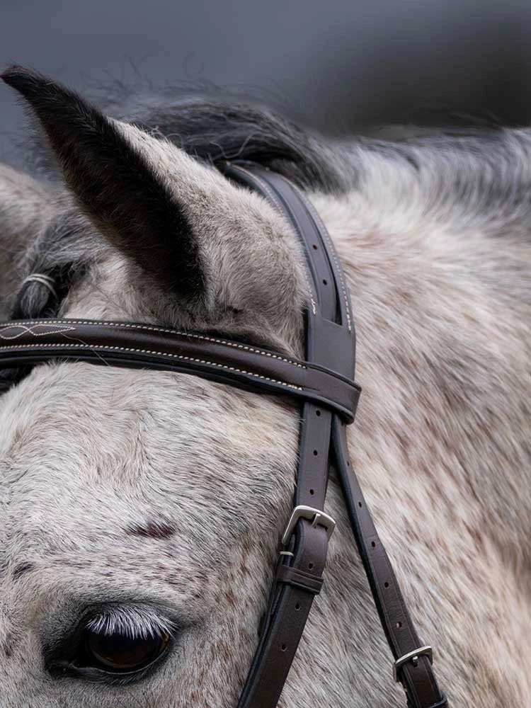 Thornberry Round Raised Hunter Bridle