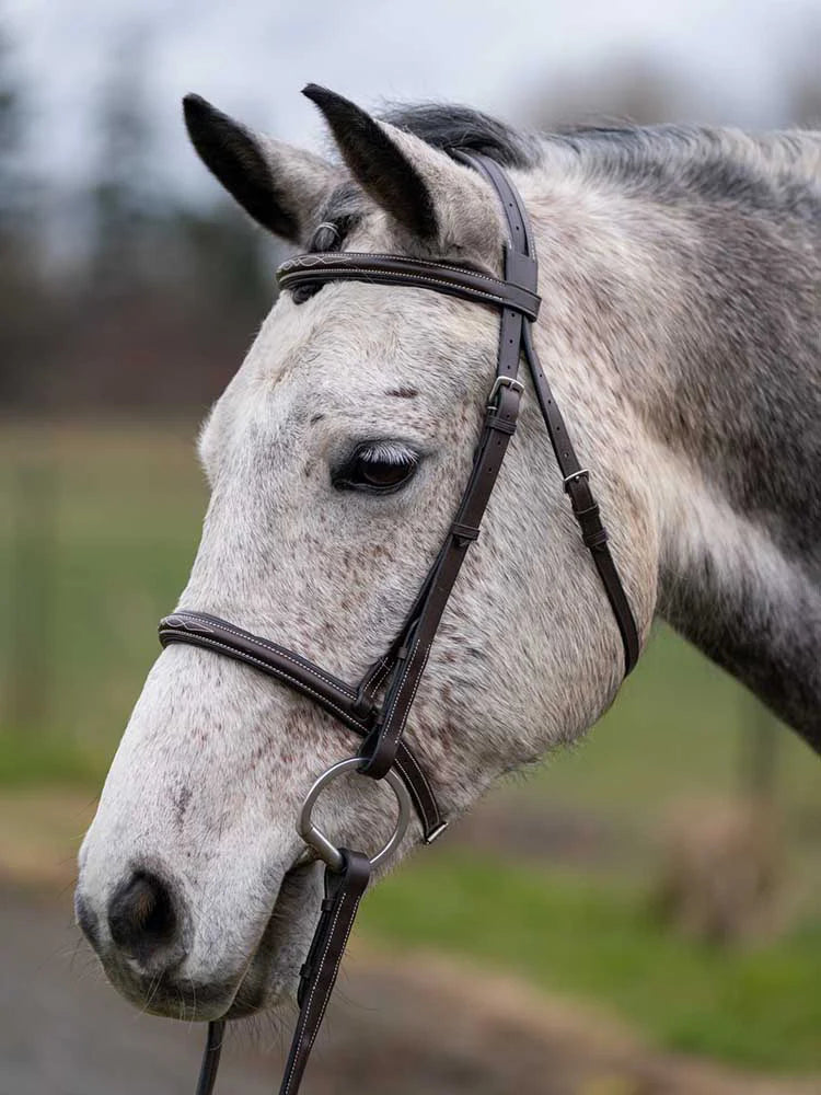 Thornberry Round Raised Hunter Bridle