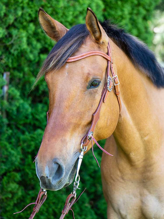Sedona Chestnut Western Browband Headstall