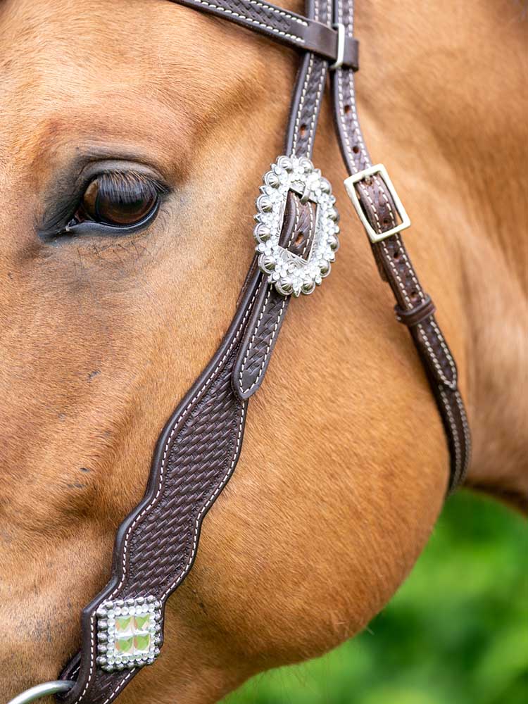Bristol Dark Brown Western Browband Headstall with Bling