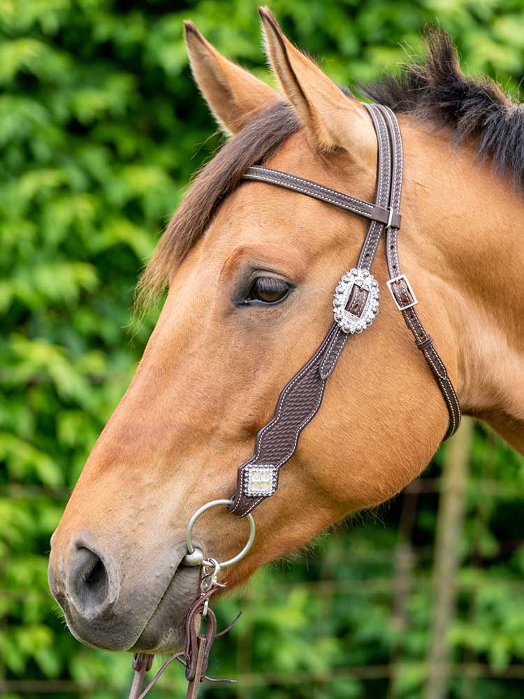 Bristol Dark Brown Western Browband Headstall with Bling