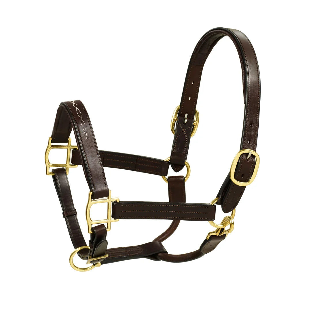 Aramas™ Fancy Stitch Self-Padded Halter
