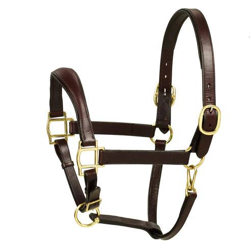 Aramas™ Raised ZERO Shape Padded Halter