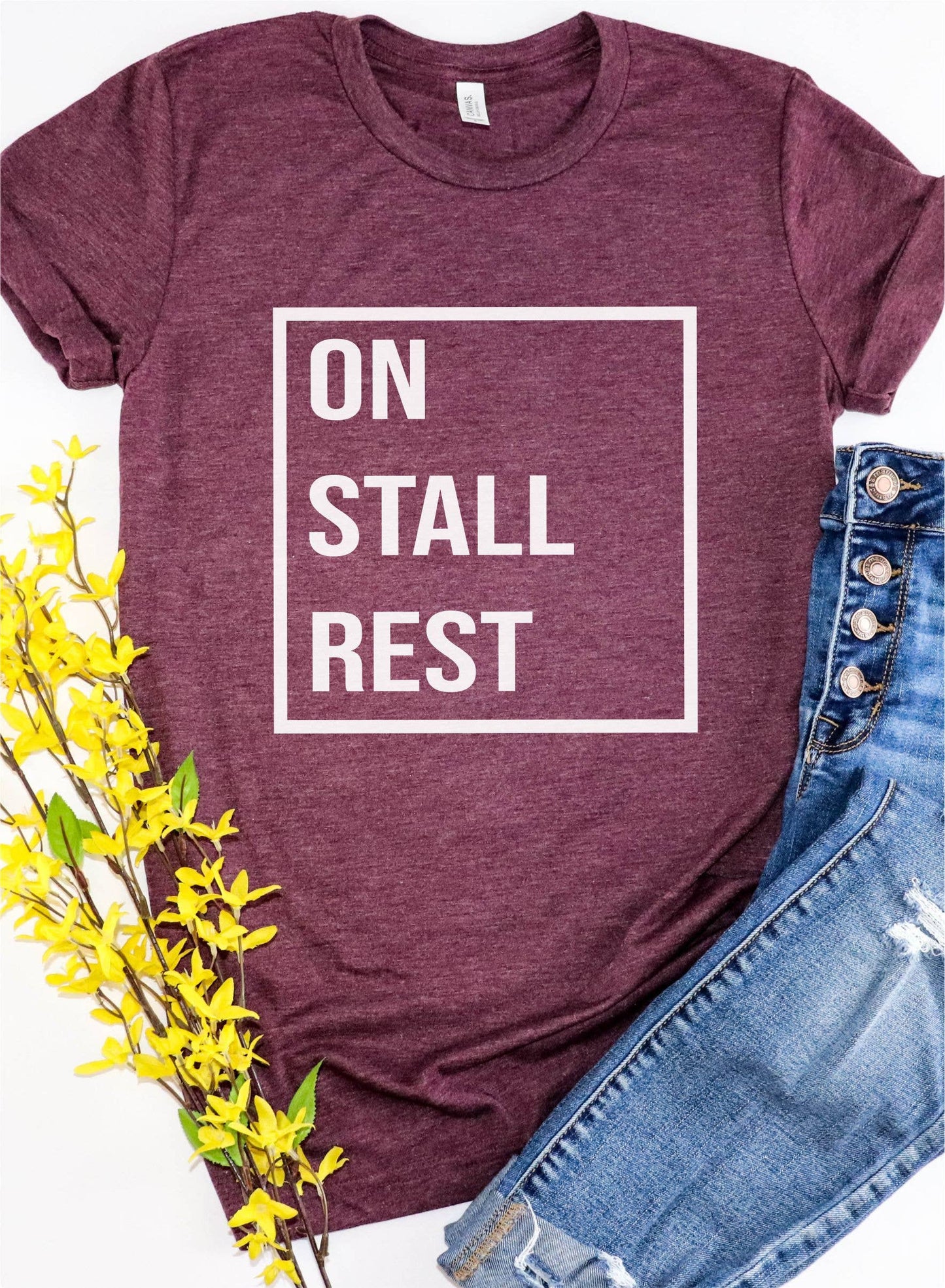 On Stall Rest Quarantine Equestrian Short Sleeve T-Shirt
