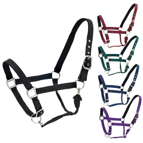 Centaur® Solid Cushion Padded Breakaway Halter
