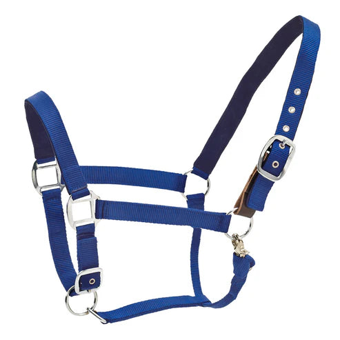 Centaur® Solid Cushion Padded Breakaway Halter
